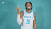 Hive Mentality Mark Williams GIF by Charlotte Hornets