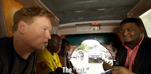 the cat conan obrien GIF by Team Coco