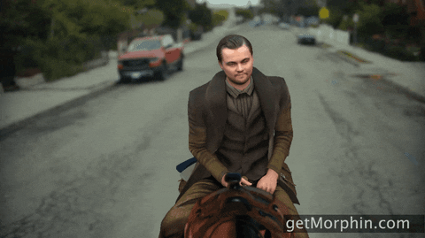 Leonardo Dicaprio Horse GIF by Morphin