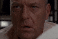 Hank Schrader GIF