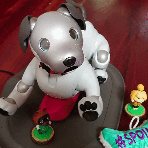 myPotatoGames giphyupload aibo sony aibo GIF