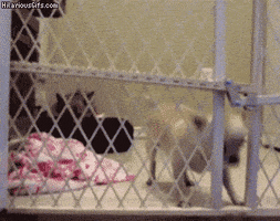 thanks sacrifice GIF