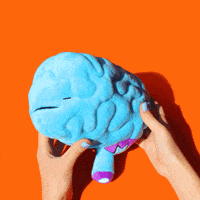 Study Math GIF by I Heart Guts