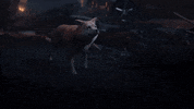 Platinum Games Action GIF