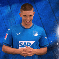 Sport Bundesliga GIF by TSG Hoffenheim
