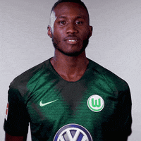 france no GIF by VfL Wolfsburg