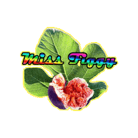 Fig Sticker by Efecantarim