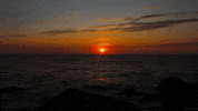 water sea GIF by Living Stills