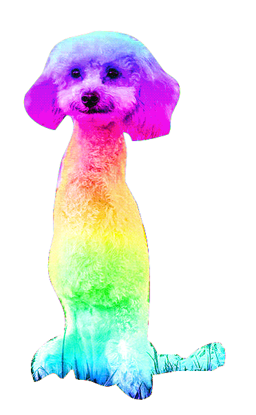 MarleysMuttsDogRescue giphyupload mm marleys mutts cora rose Sticker
