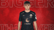 Hansa Rostock Vbl GIF by Bundesliga