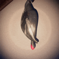 Wake Up What GIF by Claynosaurz