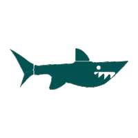 Shark Dpam Sticker by DPAM_Officiel