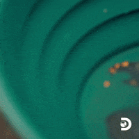 Gold Rush Money GIF by Discovery