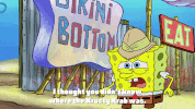 season 9 lost in bikini bottom GIF by SpongeBob SquarePants
