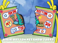 season 6 episode 10 GIF by SpongeBob SquarePants