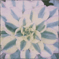 pattern vibes GIF