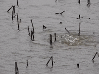 Water Education GIF by DIIMSA Stock