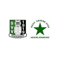 Sport Heerlen Sticker by Groene ster