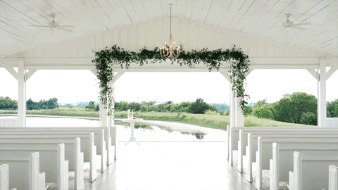 simplyivoryvideography giphyupload GIF