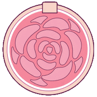 FLOWERBeauty beauty flower makeup blush Sticker