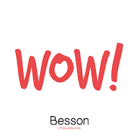 Wow Sticker by Besson-Chaussures