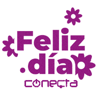 Party Love Sticker by Conecta