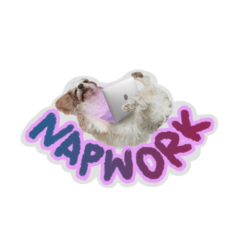 7kingcavaliers giphyupload cavalier lazy dog cavalier king charles spaniel Sticker