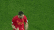 lfc GIF by Liverpool FC