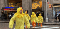 jimmy fallon lol GIF by The Tonight Show Starring Jimmy Fallon