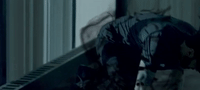 social media fall GIF by Eminem