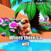 GIF by Guinea Gambino