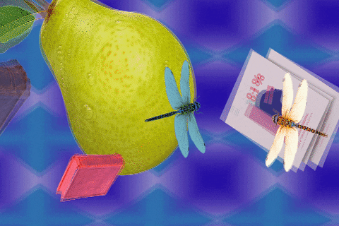 Books Fruits GIF by ROCAFUERTE THE DESTROYER