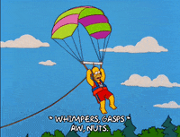 homer simpson GIF