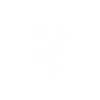 Text Sticker by EmPlanta