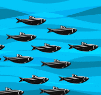 theswitchstudio fish fishing switch caught GIF