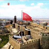 Flag Freedom GIF by TRT