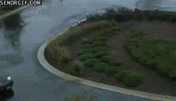 cars fail GIF by Cheezburger