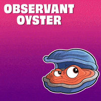 Watch And Learn Eyes Wide Open GIF by VeeFriends