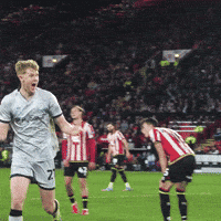 Celebration Shrug GIF by MillwallFC