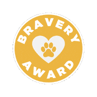 Award Bravery Sticker by VetPartners