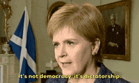 brexit nicola sturgeon GIF