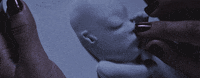 GIF by Mashable