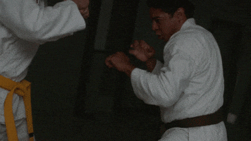 fight punch GIF