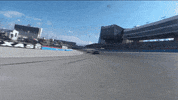 Kyle Busch Sport GIF by NASCAR