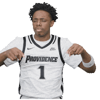 Basketball College Sticker by Providence Friars