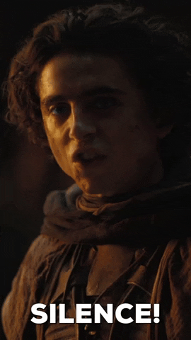 Timothee Chalamet Silence GIF by Dune Movie
