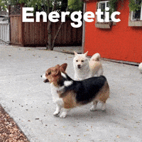 Milo GIF