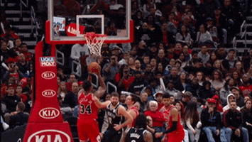 GIF by NBA