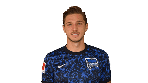 Niklas Stark Facepalm Sticker by Hertha BSC