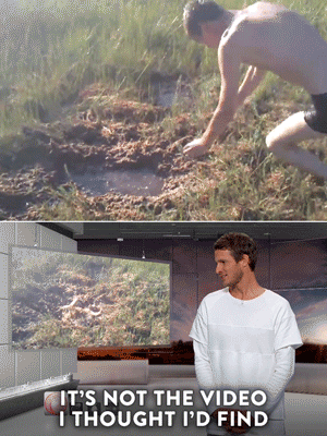 daniel tosh dive GIF by Comedy Central